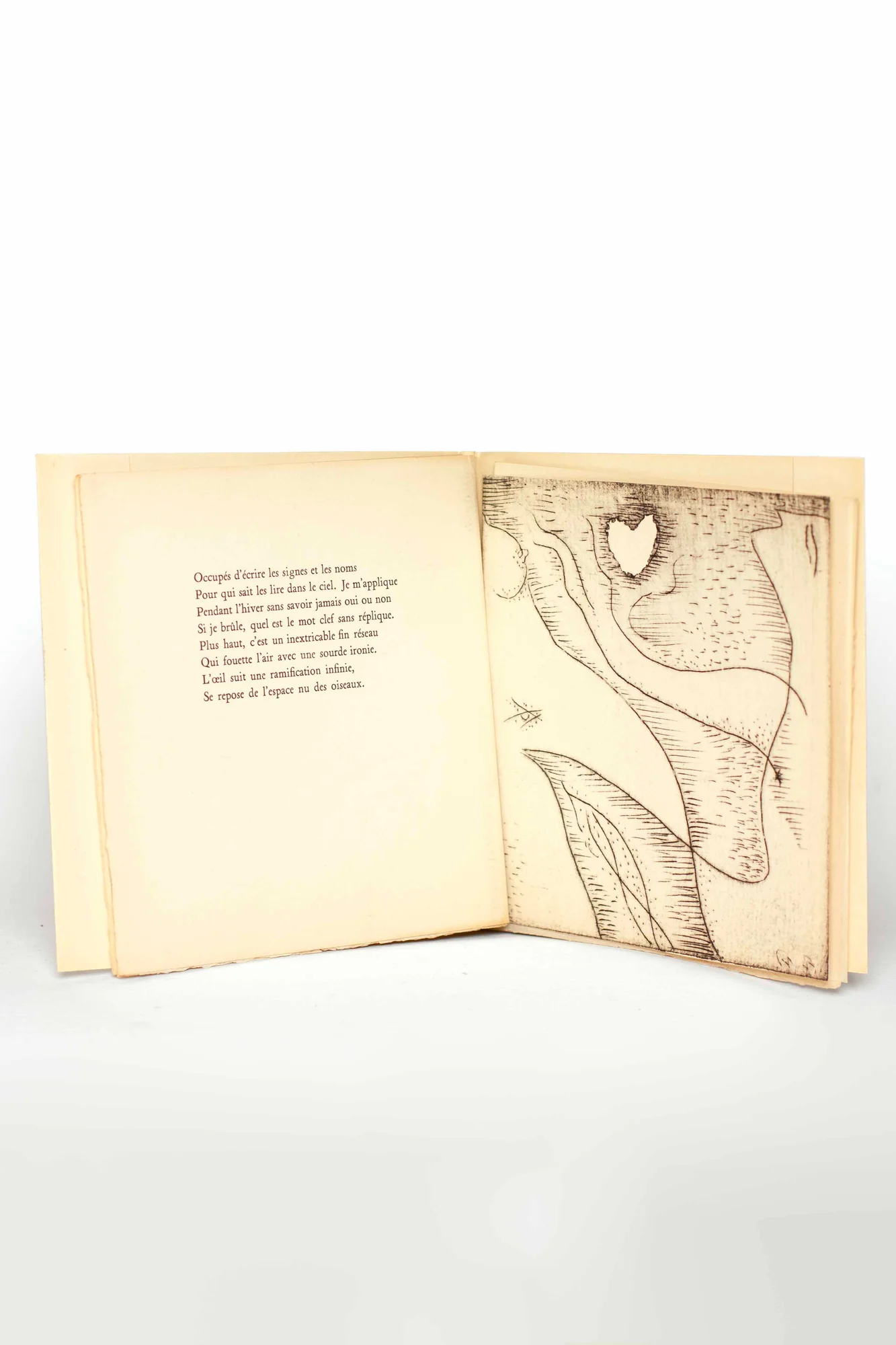 BOISSONNAS (Edith). MASSON (André). — Limbe. (Réf. 16794)