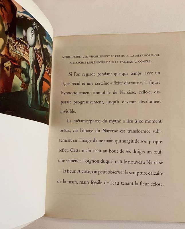 Métamorphose de Narcisse. — planche 3