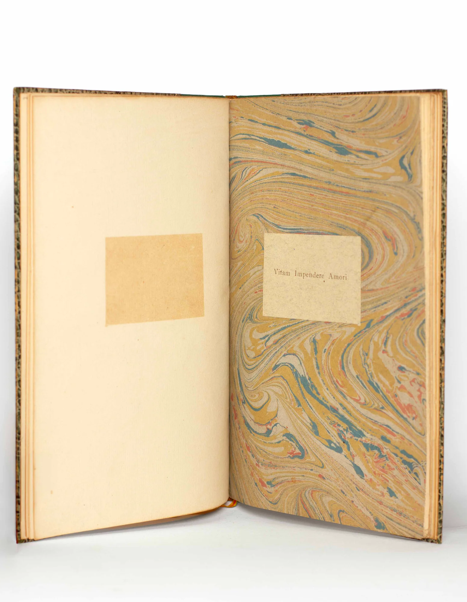 APOLLINAIRE (Guillaume) & ROUVEYRE (André). — Vitam Impendere Amori. Poèmes et dessins. (Réf. 19167)