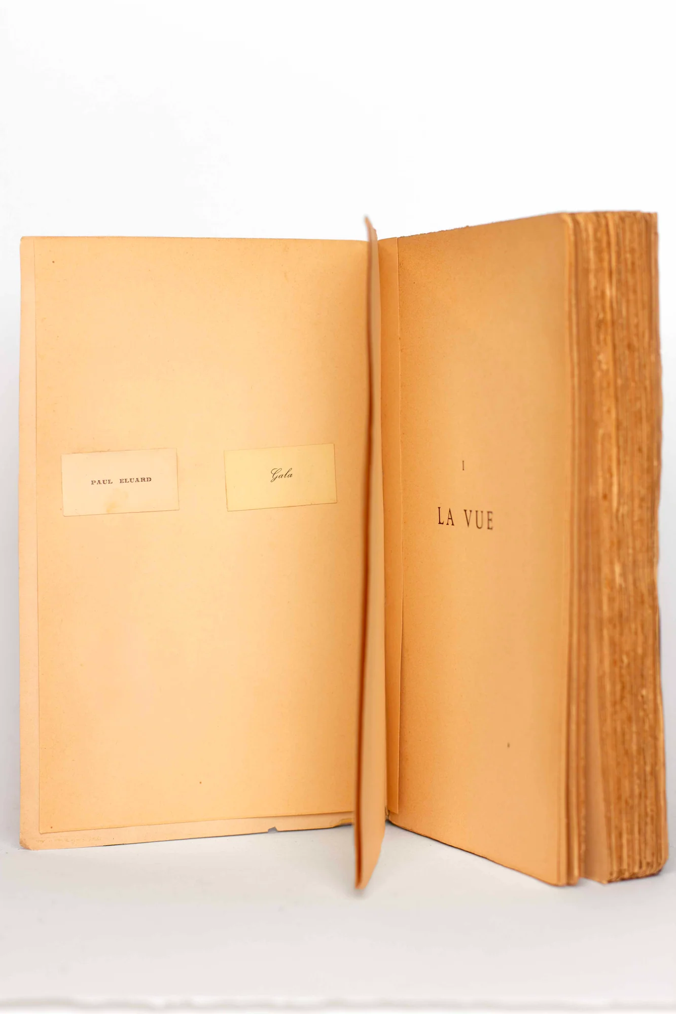 ROUSSEL (Raymond). — La Vue. (Réf. 22619)