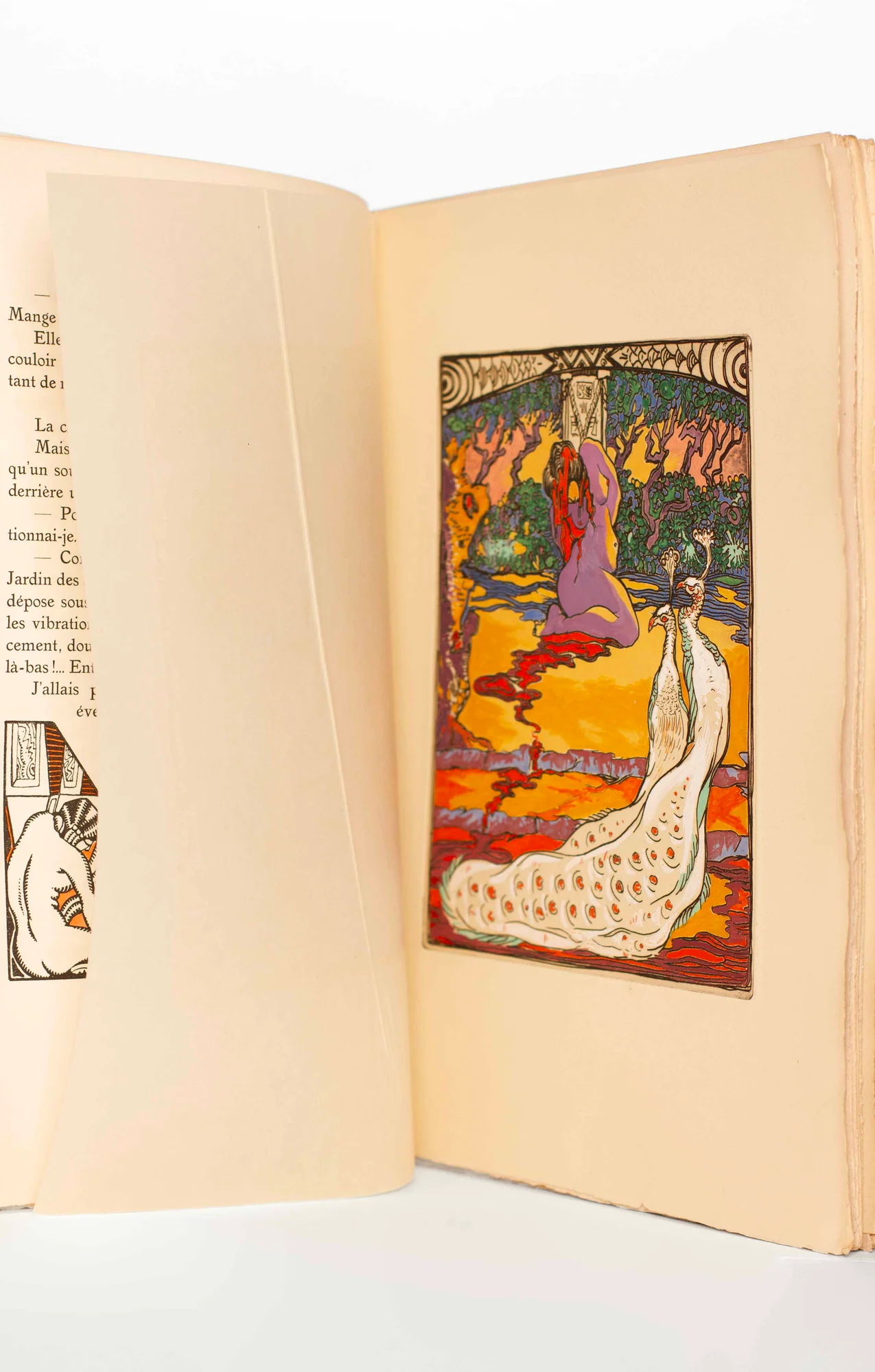 MIRBEAU (Octave). COLUCCI (Gio). — Le Jardin des Supplices. (Réf. 23117)