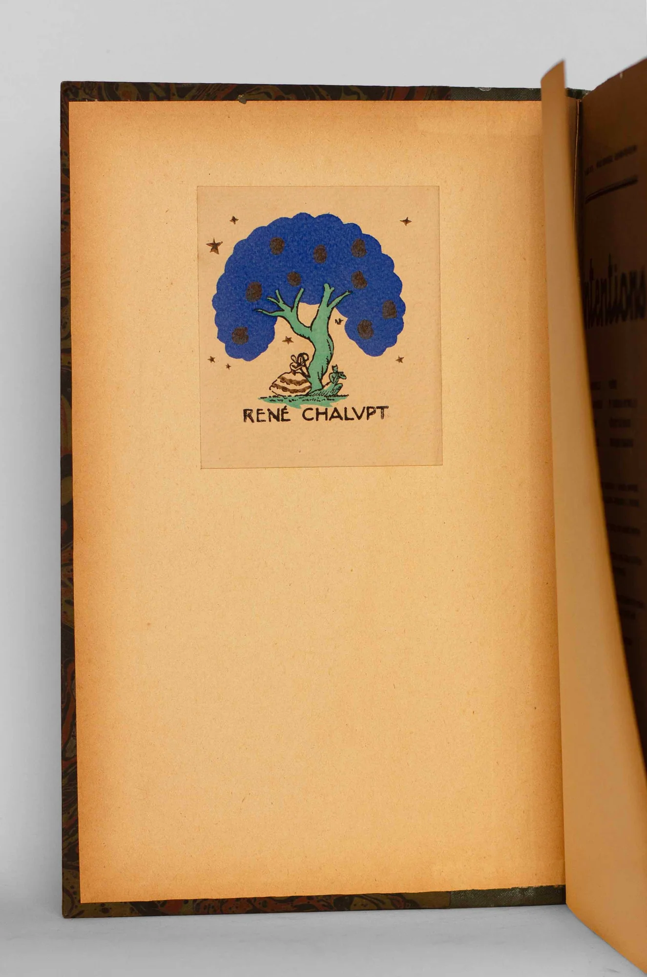 REVUE. Intentions. — Intentions (1922-1924). (Réf. 23250)