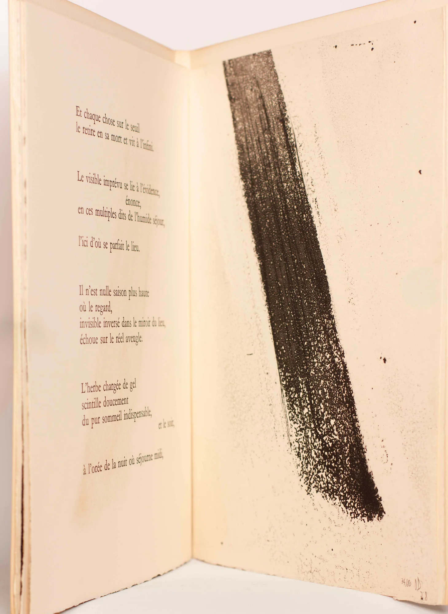 TORREILLES (Pierre). DEBRÉ (Olivier). — Toutes les aubes conjuguées. (Réf. 23360)