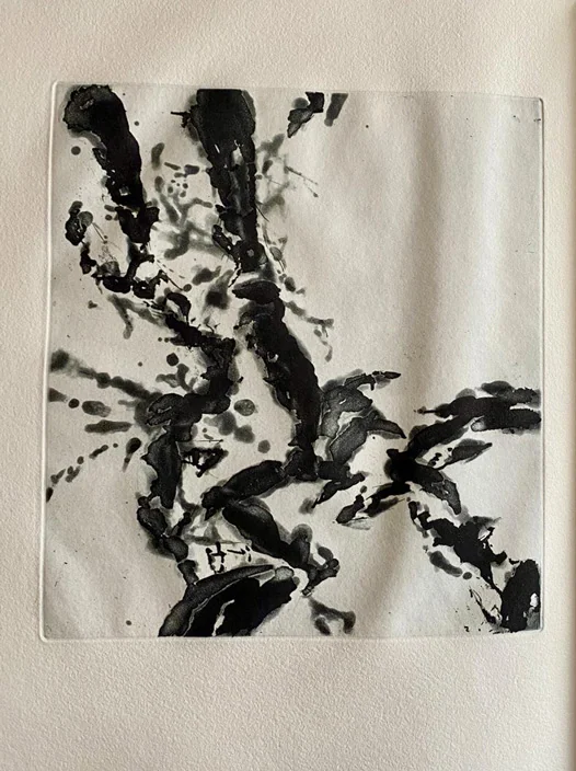 ZAO WOU-KI. PEYRÉ (Yves). — L’évidence de la nuit. (Réf. 23459)