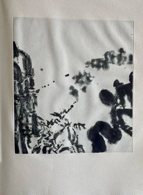 ZAO WOU-KI. PEYRÉ (Yves). — L’évidence de la nuit. (Réf. 23459)