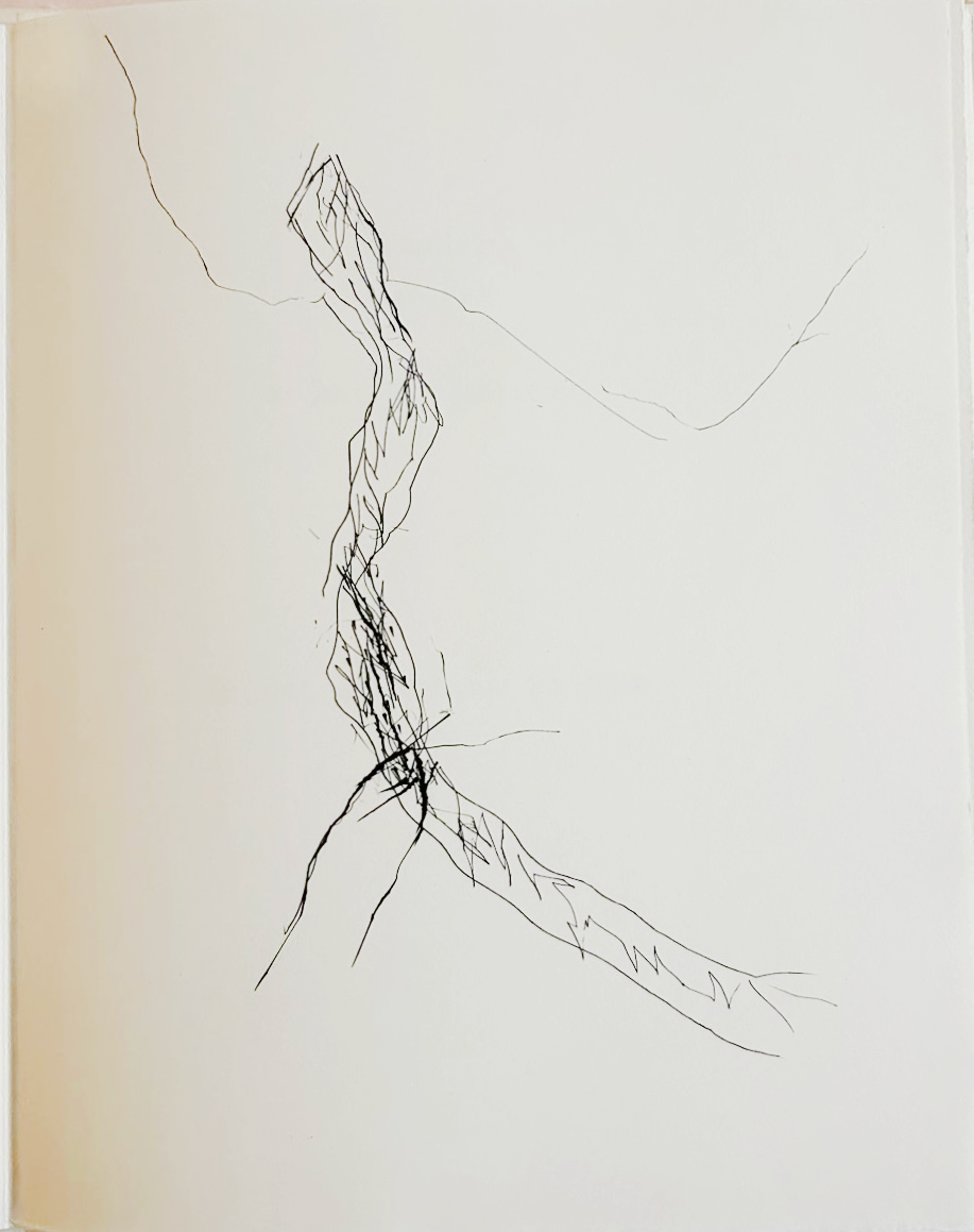 Espace déluté. — planche 4