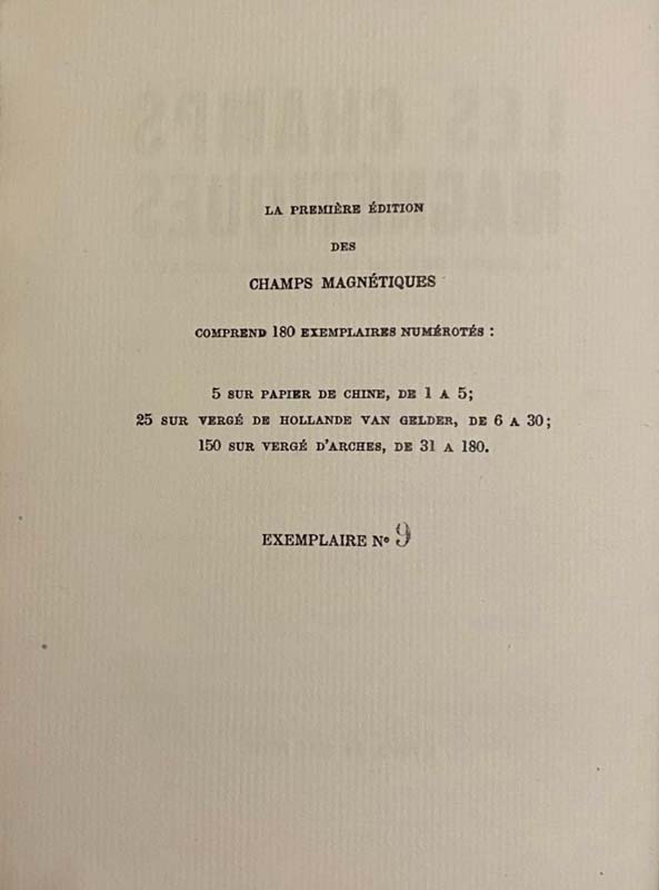 Les Champs magnétiques. — planche 5