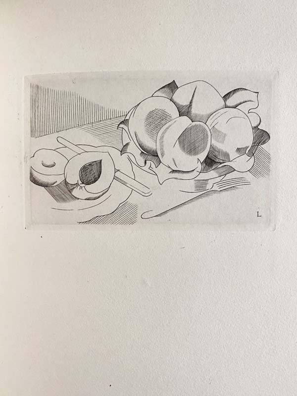 Le Songe d'une femme. Roman familier. — planche 5