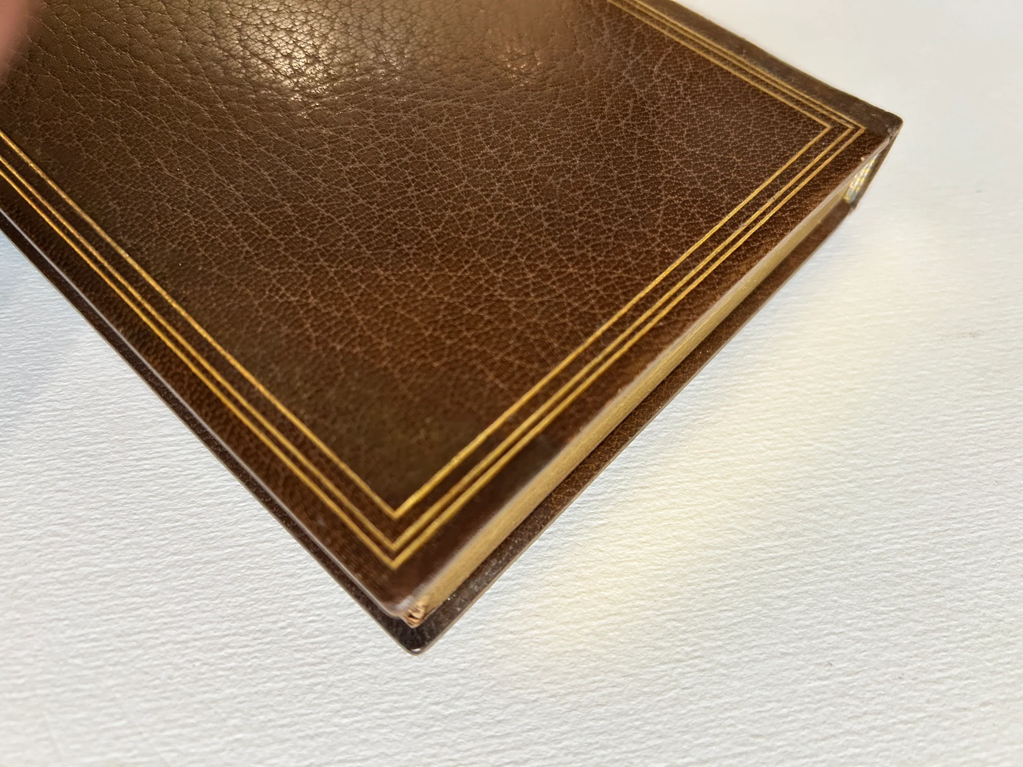 D’ANNUNZIO (Gabriele). BROOKS (Romaine). — Contemplazione della Morte. (Réf. 24762)