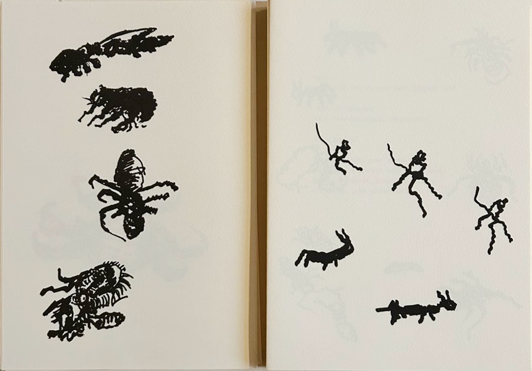 Saisir. — planche 4