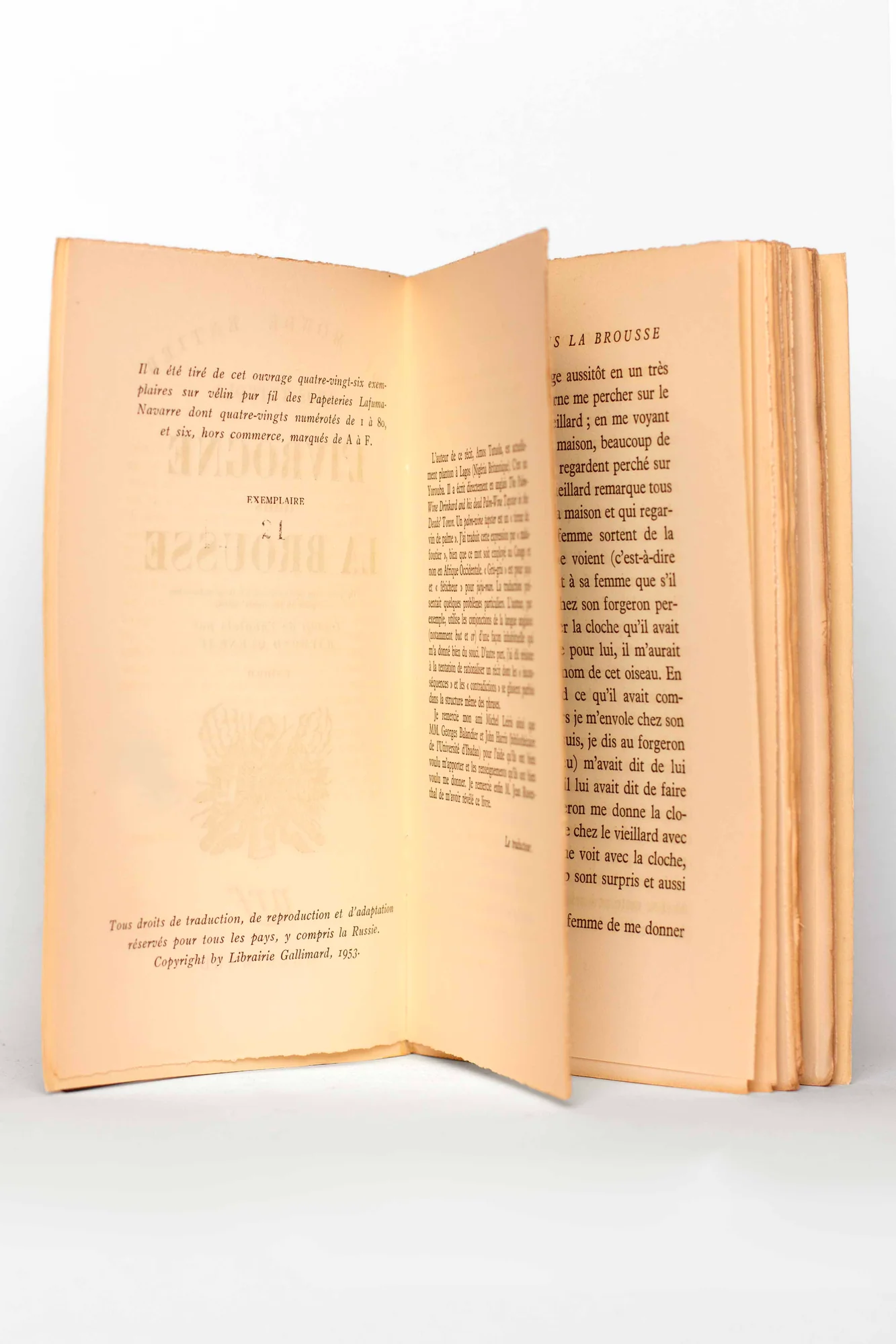 (QUENEAU). TUTUOLA (Amos). — L'Ivrogne dans la brousse. (Réf. 25090)