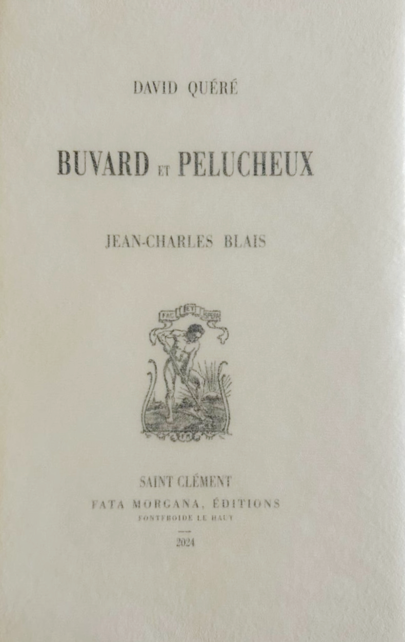 Buvard et Pelucheux. — planche 2