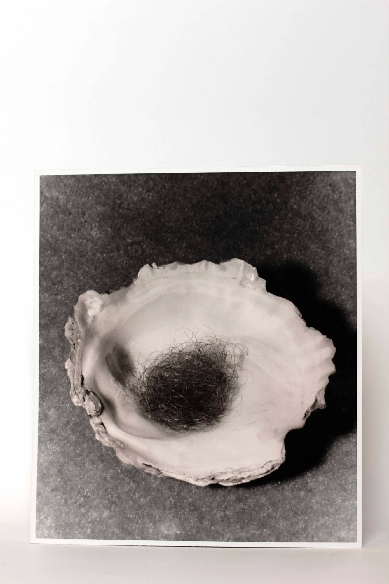 DOHMEN (Léo). — Le mal de mer. PHOTOGRAPHIE ORIGINALE. (Réf. 25548)