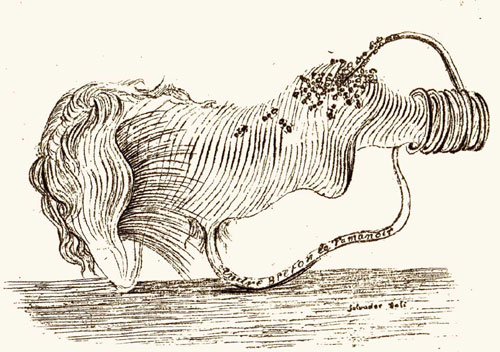 La Salamandre. Roman maritime. — planche 5