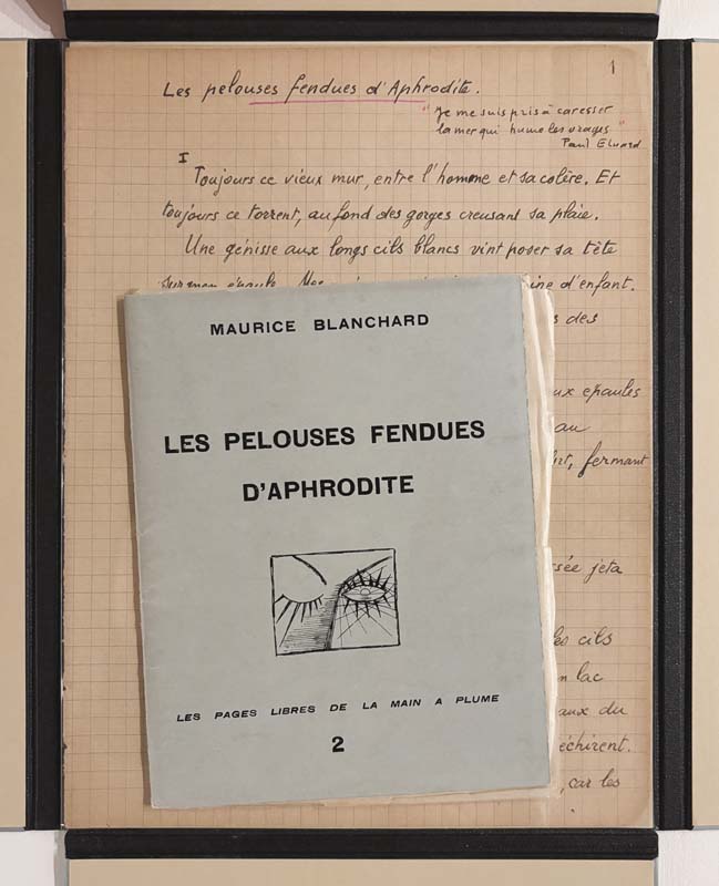 Les Pelouses fendues d'Aphrodite. — planche 3